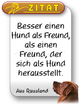 foxred labrador, fox red labrador, labrador retriever kaufen, labrador foxred züchter, foxred labrador züchter