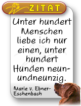 labrador retriever welpen kaufen, labrador züchter, labrador hundewelpen, foxred, welpen labrador kaufen
