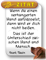 Glückliche und gesunde Labradorwelpen; foxred Labrador